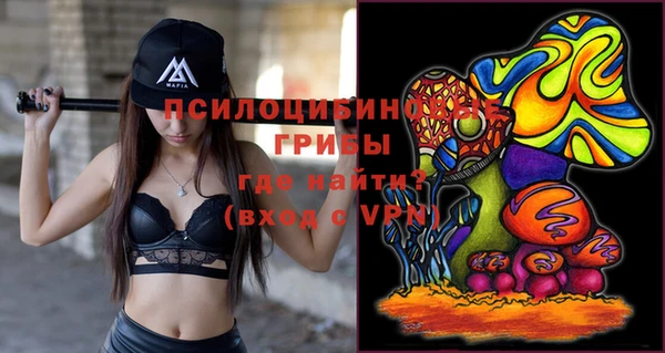гидропоника Белокуриха