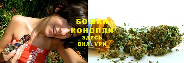гидропоника Белокуриха